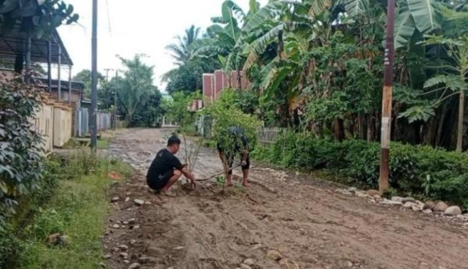 Protes Jalan Rusak Parah, Warga Takalar Tanam Pohon Lombok di Tengah Jalan
